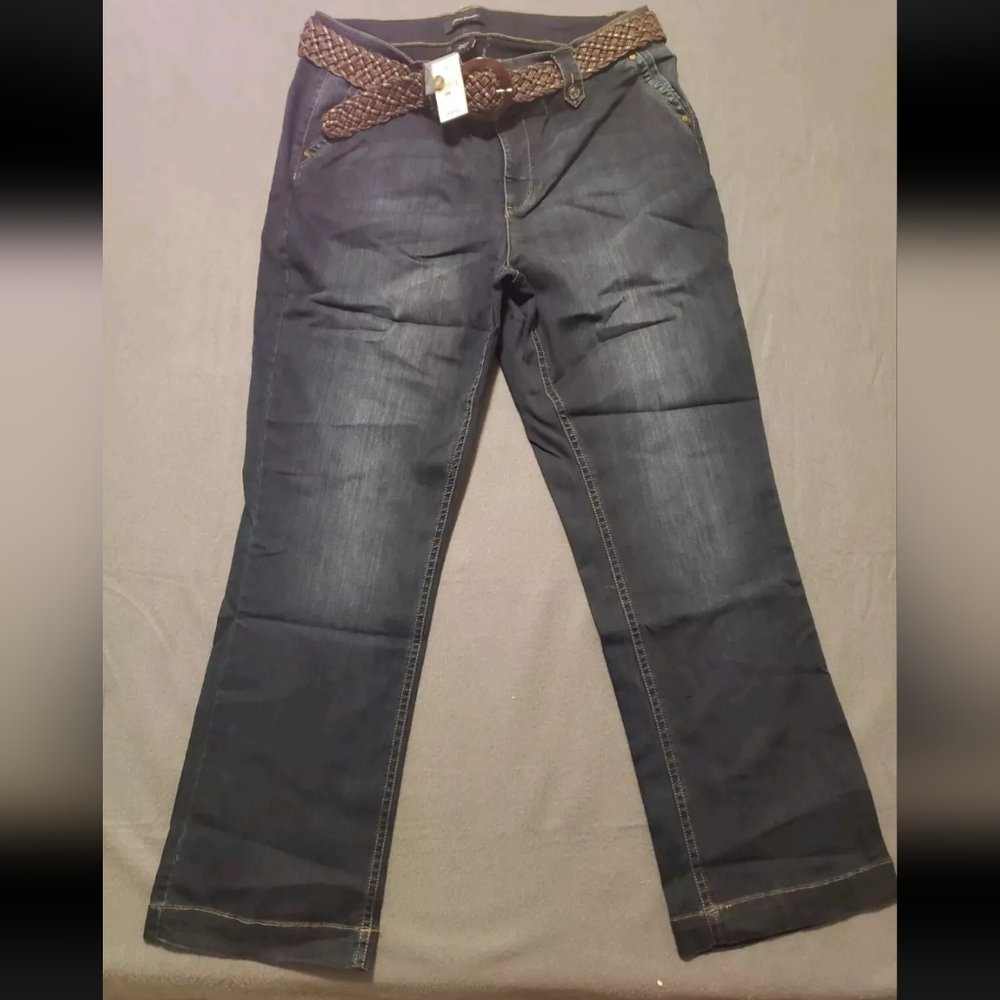 Ashley Stewart size 20 Blue
